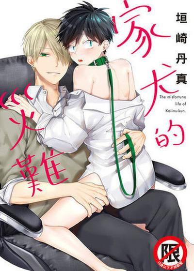 家犬的灾难,家犬的灾难漫画