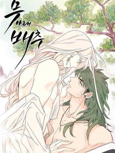 萝卜干白菜 (完整版),萝卜干白菜 (完整版)漫画
